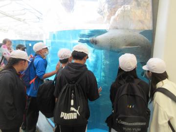 修学旅行の様子その1