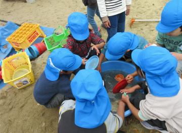 5歳児の砂場道具洗い