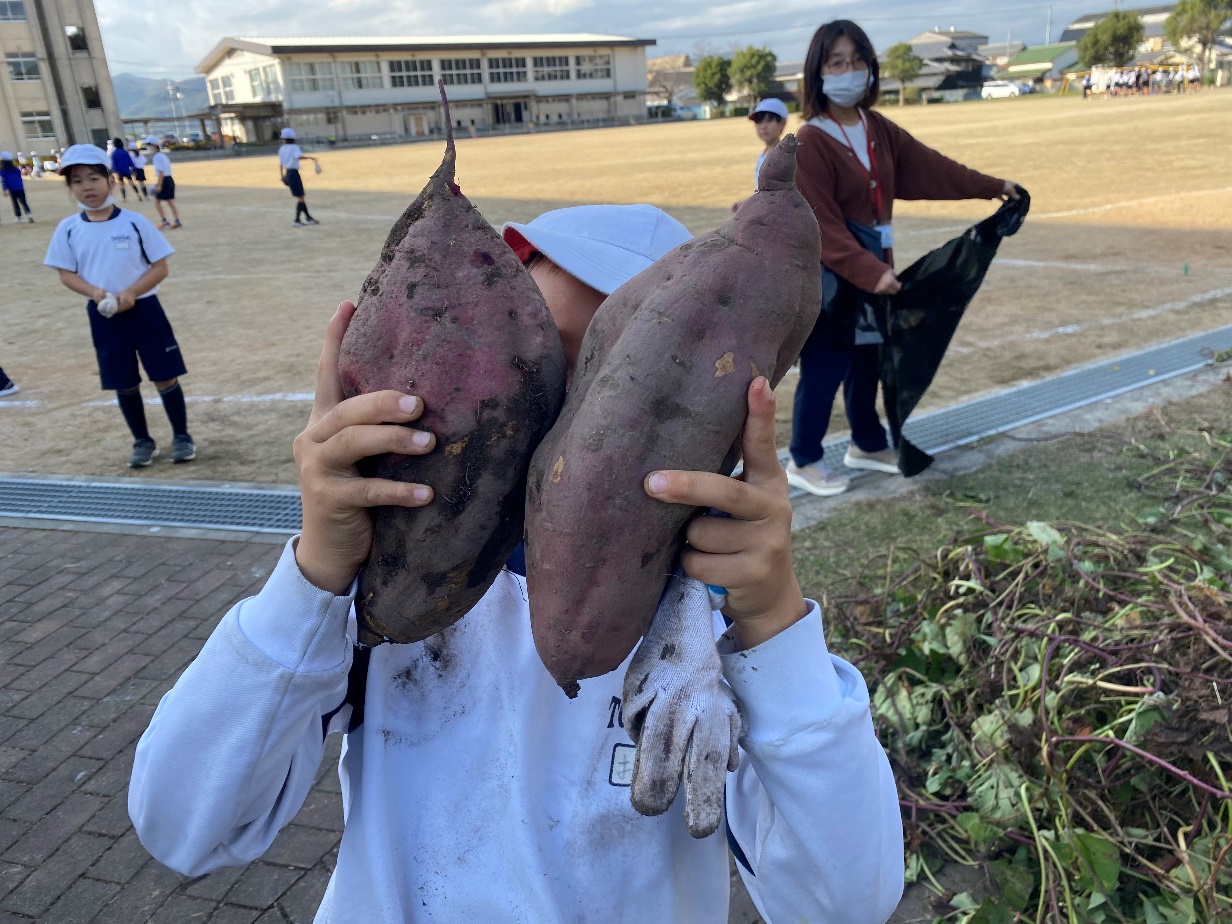 芋掘りの様子その4