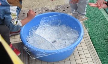 氷がいっぱい