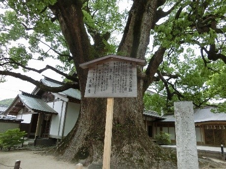 修学旅行の様子3