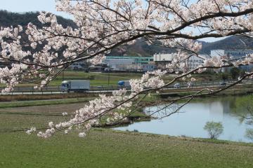 4月甲池と播但道