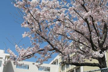 4月豊富小中