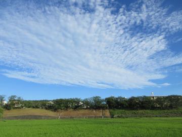 8月甲丘の空