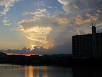 8月甲池の夕暮れ