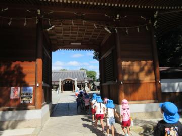 英賀神社の入り口から神社へ入る園児たちの様子