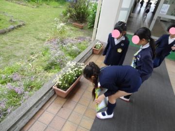 わたりろうかでかたつむりを見つけた1年生