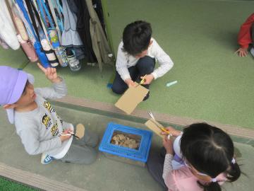 ダンボールを切ってだんごむしのおうちをつくる幼児