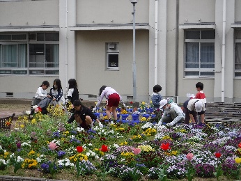 花壇の手入れの写真
