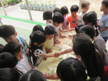 スナップエンドウ屋さんをする幼児
