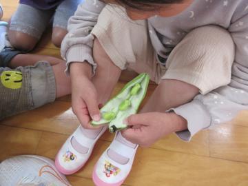 そらまめを開く