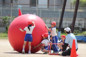 大玉転がしの様子