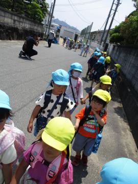 屋外で散歩する園児の様子