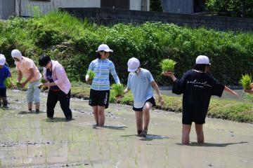 トライやるの子も一緒に田植え