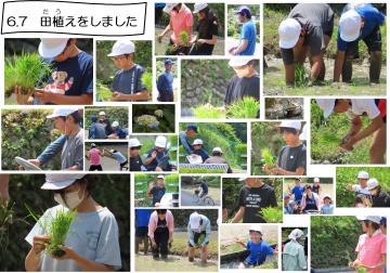 田植えの様子
