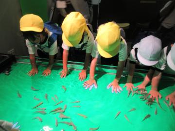 魚の水槽に子供が手を入れているところ