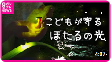 関テレYouTube画像