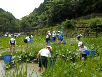 児童が生き物を捕まえている様子