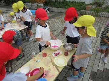 園児たちが屋外でヤマゴボウの実をすりつぶしているところ