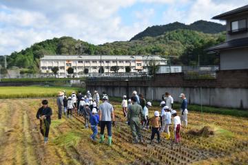 小学校が見えています
