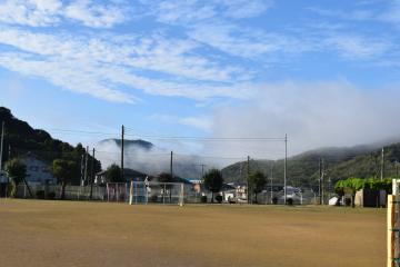 朝の霧です