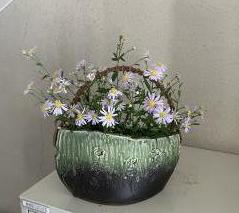 玄関の花