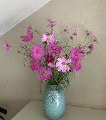 玄関の花