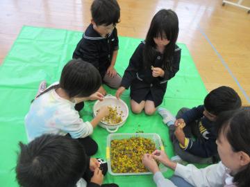 収穫したマリーゴールドの花びらを集めている