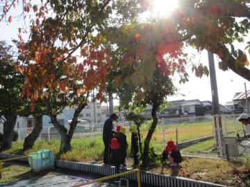 カシの木の下でドングリをとっている