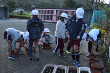 正門付近に並べています