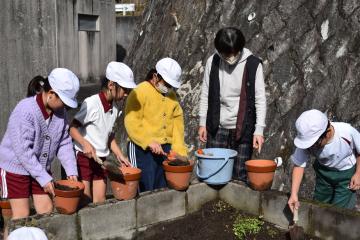 3年生が土を入れています