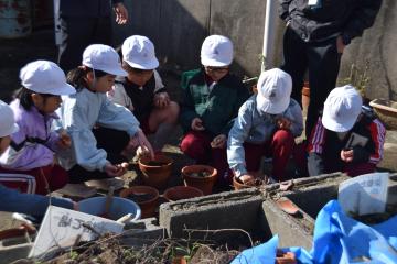 鉢を選んで球根を植えるところです