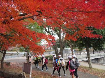 帰りの宮堀川は紅葉が見事でした