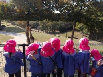 園内でキリンを見ている園児たちの様子