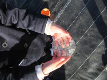 氷を持っている園児の手の様子