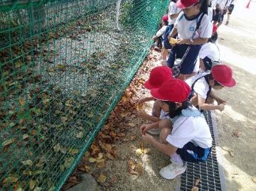 児童たちが校庭で落ち葉を拾って秋となかよくしている様子