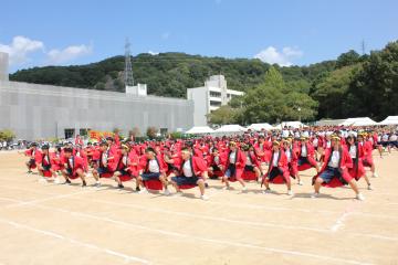 体育大会での全校ソーランの様子