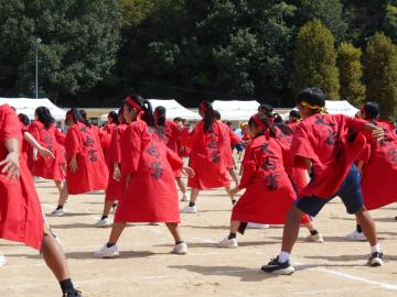 全校演技全校ソーランを踊る後姿の様子