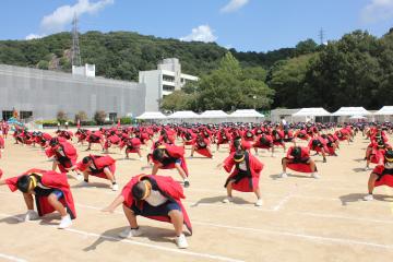 全校生徒による演技全校ソーランを踊る様子