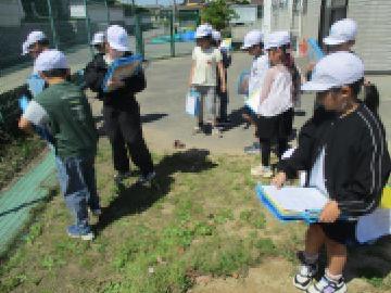 児童が運動場の周りで、「春見つけ」をしている様子です。
