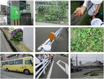 校区探検でいろいろなものを見つけていました。