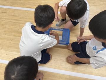 チョウを観察する児童の様子