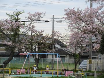 ブランコに乗っているところ