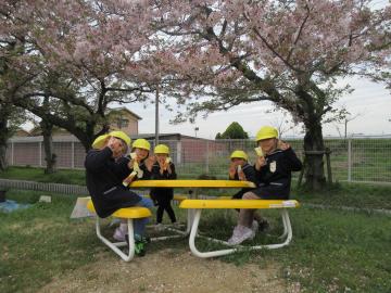 桜の木の下で、皆でおやつを食べているところ