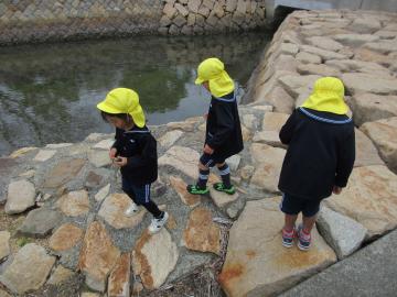 川の石垣を歩いている様子