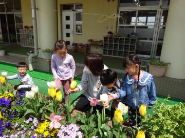 園庭で園児が花を見ながら春探しをする様子