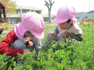 花を探す子供