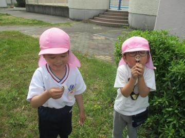 綿毛を吹く二人の子供