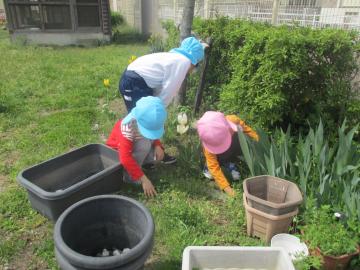 植木鉢を動かしてダンゴムシを探す子供