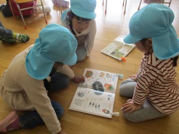 図鑑を見てダンゴムシについて調べる子供たち